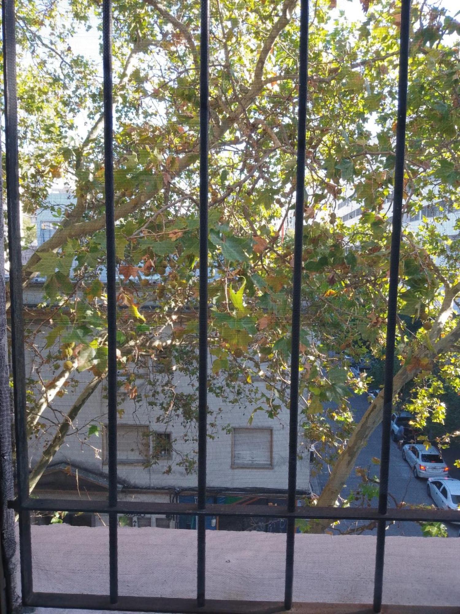 Montevideo Hostel Екстериор снимка